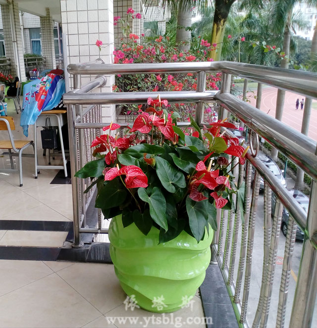 玻璃鋼花盆 玻璃鋼花盆