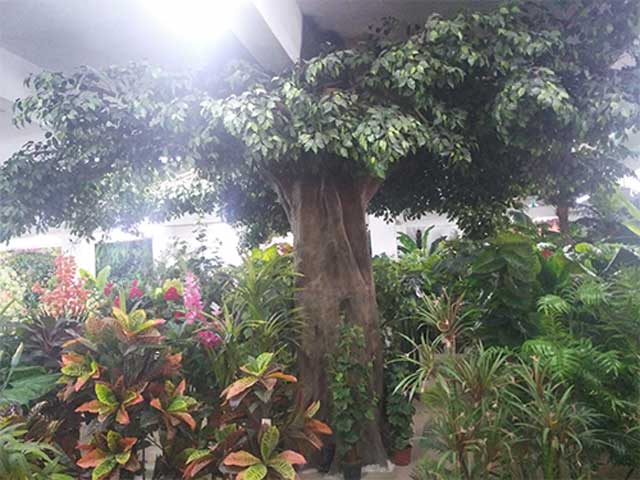 商業(yè)仿真大樹裝飾 商業(yè)仿真大樹裝飾