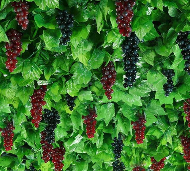 商業(yè)仿真植物裝飾 商業(yè)仿真植物裝飾