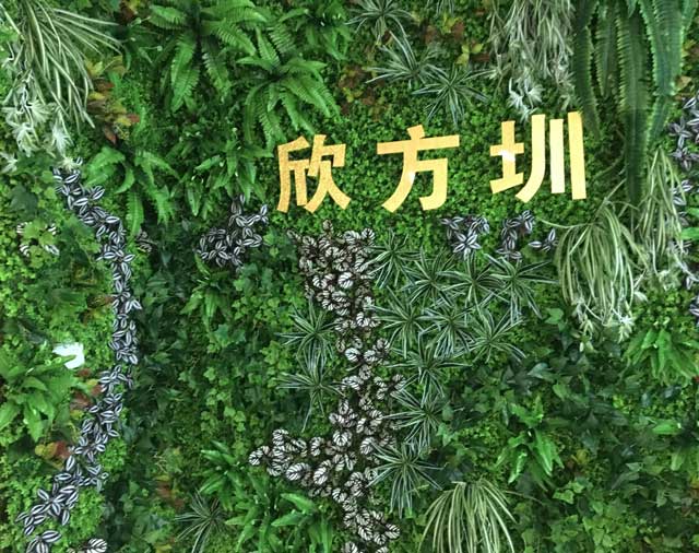 仿真植物美陳裝飾 仿真植物美陳裝飾